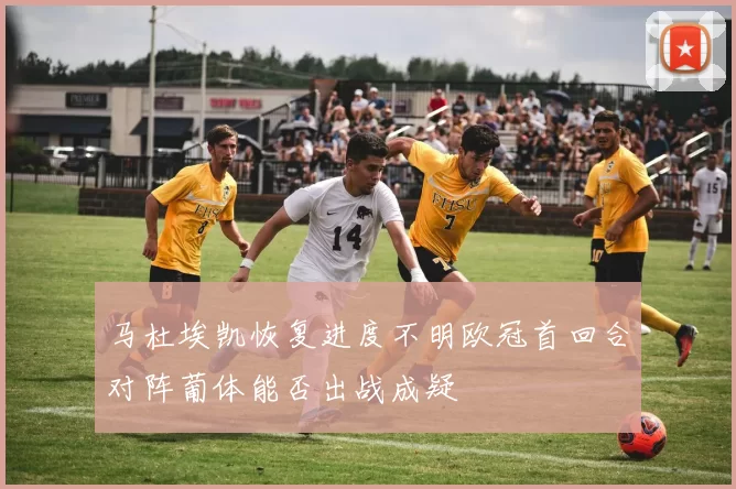 马杜埃凯恢复进度不明欧冠首回合对阵葡体能否出战成疑